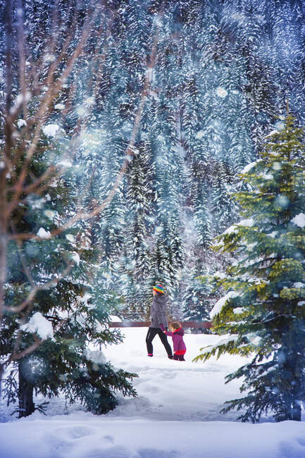 Seitenansicht von unkenntlich Frau und Mädchen in warmen Kleidern zu Fuß zusammen in der Nähe von Wald an einem verschneiten Wintertag — Stockfoto