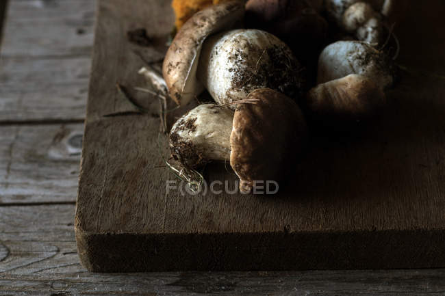 Haufen frisch gepflückter Steinpilze mit Wurzeln und Schmutz auf Holz — Stockfoto