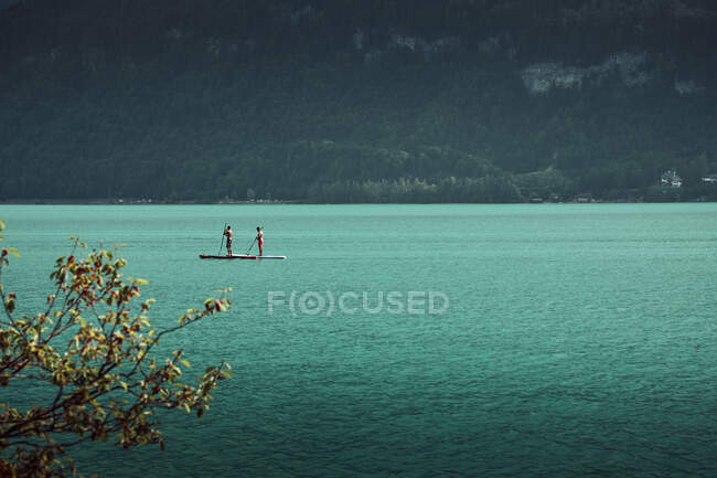 На вигляд люди стоять на дошці серфінгу і веслують по мальовничому озері з лісовим узбережжям Австрії. — стокове фото
