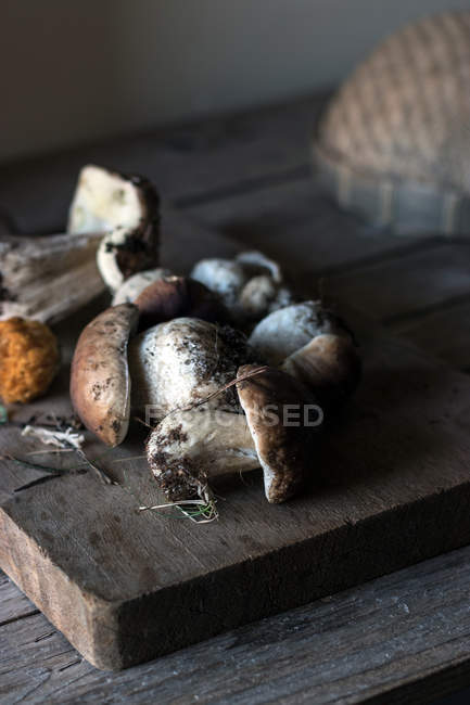 Montão de cogumelos boletus edulis recém-colhidos com raízes e sujeira — Fotografia de Stock