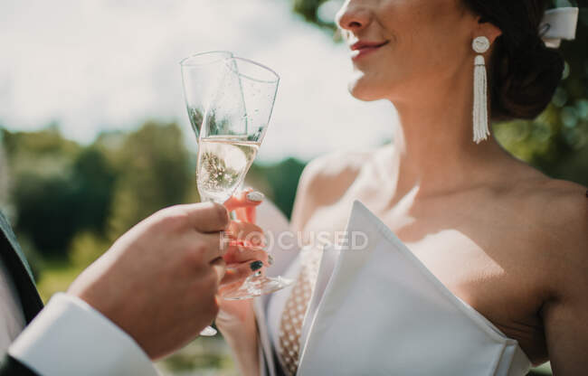 Crop bride and groom clinking glasses of fine champagne while standing on blurred background of nature — Stock Photo