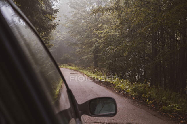 Janela e espelho de asa do carro moderno viajando através de floresta espessa na Bulgária, Balcãs — Fotografia de Stock