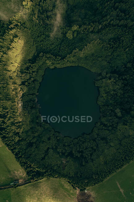 Vista aérea del pequeño lago del cráter rodeado de plantas verdes - foto de stock