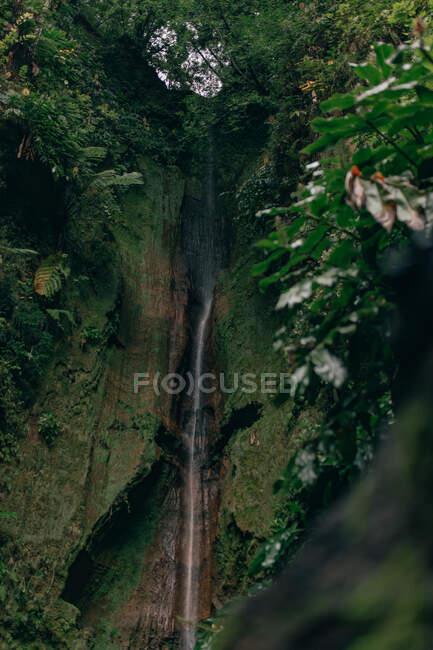 Cascade coulant de haute montagne rocheuse couverte de feuilles vertes — Photo de stock