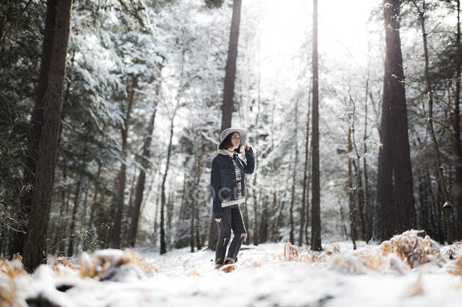 Досить молода жінка в стильному вбранні, дивлячись далеко, стоячи біля дерева, вкритого снігом в холодний день в чудовій сільській місцевості — стокове фото