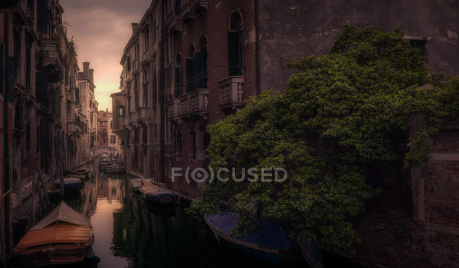 Small gondolas floating on surface of channel water in magnificent Venice during sunset — Stock Photo