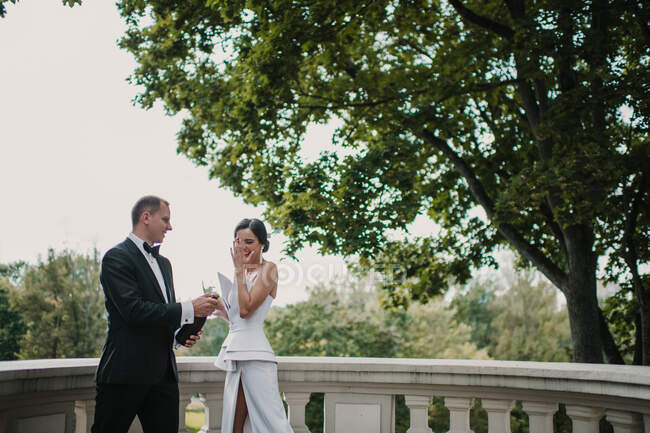 Casado casal clinking copos de champanhe — Fotografia de Stock