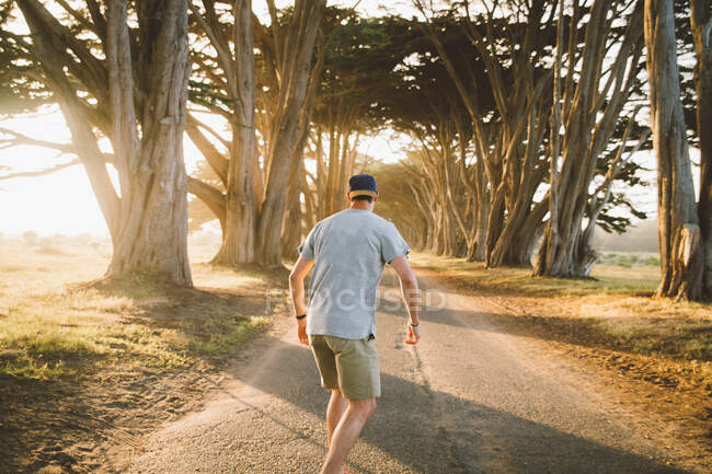 Back view of young guy riding skateboard along asphalt road in amazing tree tunnel on sunny day in magnificent nature — Stock Photo