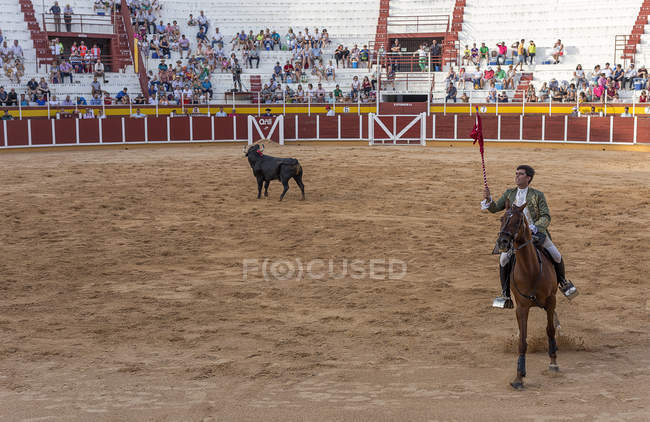 España, Tomelloso - 28. 08. 2018. Vista de toreros montando a caballo y peleando con toros en zona arenosa con gente en tribuna - foto de stock
