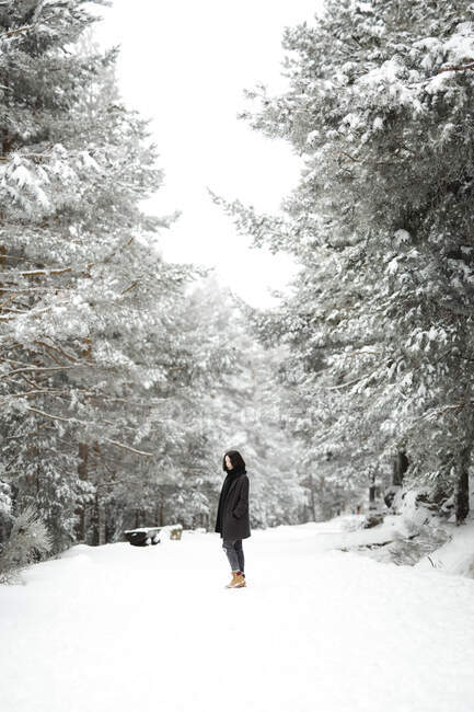 Hübsche junge Frau in stylischem Outfit schaut weg, während sie an kalten Tagen in einer wunderschönen Landschaft neben einem schneebedeckten Baum steht — Stockfoto