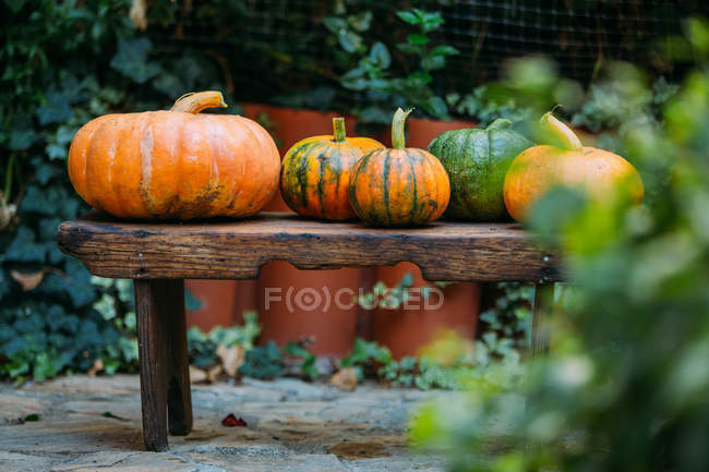 Harvest of pumpkins on wooden table in countryside — Stock Photo