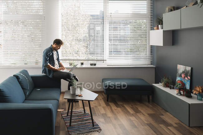 Бородатый парень просматривает современный ноутбук, сидя на удобном диване в стильной гостиной — стоковое фото