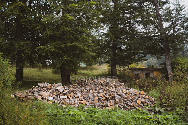 Enorme pilha de troncos deitado perto de árvores altas e pequeno galpão em belas paisagens na Bulgária, Balcãs — Fotografia de Stock