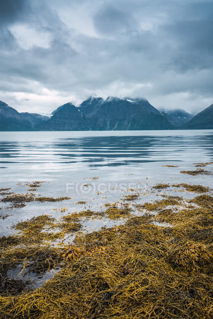 Ruhiges Wasser von See und felsigen Bergen unter bewölktem Himmel, Lappland — Stockfoto