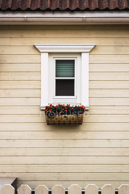 Окно с цветами в горшке под крышей деревянного коттеджа — стоковое фото