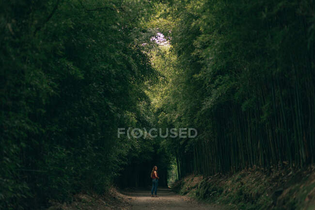 Вид сбоку на женщину, идущую по тропинке в лесу с высокими зелеными деревьями — стоковое фото