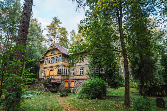 Великий старий будинок в зеленому літньому лісі — стокове фото