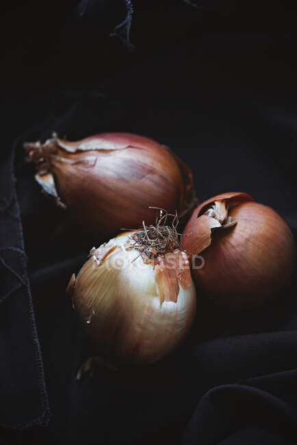 Cebollas en fondo oscuro - foto de stock