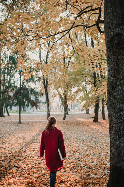 Rückansicht einer Dame, die mit fallenden gelben Blättern im Herbstwald auf den Boden geht — Stockfoto