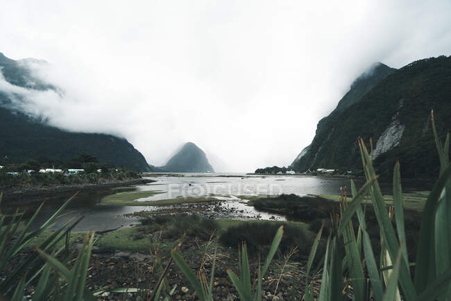 Majestic view of beautiful marsh and mountains on misty day in Fiordland National Park in New Zealand — Stock Photo