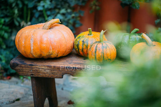 Harvest of pumpkins on wooden table in countryside — Stock Photo