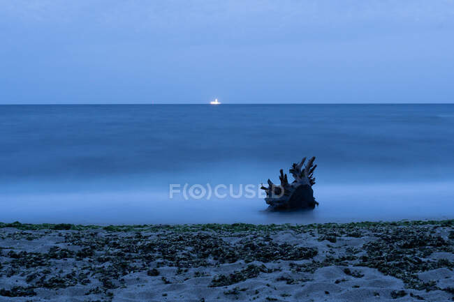 Snag deitado na costa perto do mar acenando incrível na bela noite na Bulgária, Balcãs — Fotografia de Stock