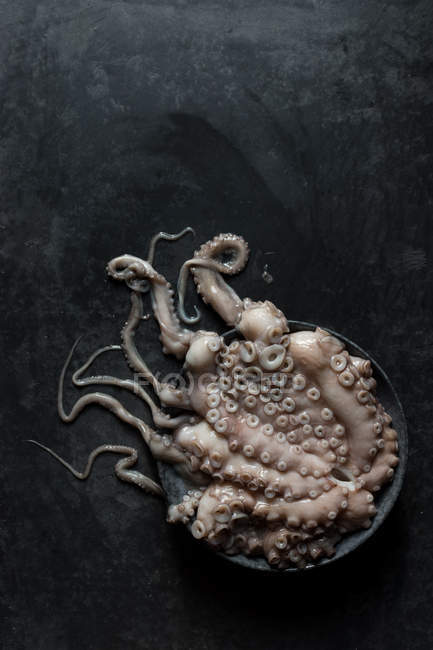 Roher Oktopus auf Platte auf schwarzem Marmorhintergrund — Stockfoto