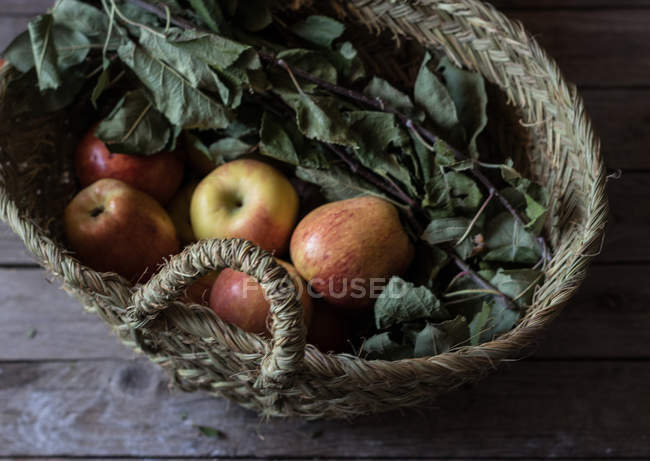 Свежие спелые яблоки и листья в корзине на деревянном столе — стоковое фото