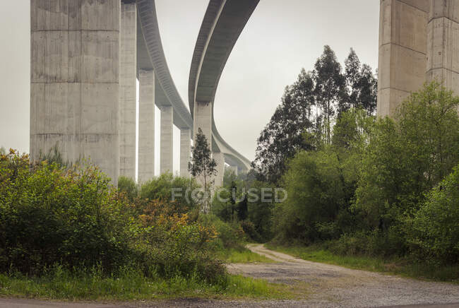 High viaduct made of white stone with green trees and bushes below and cloudless sky above — Stock Photo