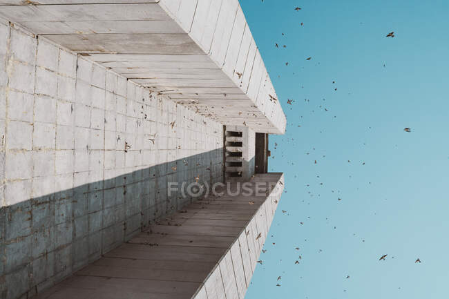Vue d'en bas d'un troupeau d'oiseaux volant près d'un grand bâtiment en béton contre un ciel bleu sans nuages en Bulgarie, dans les Balkans — Photo de stock