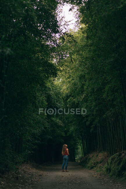 Donna che cammina nella foresta con alberi alti — Foto stock