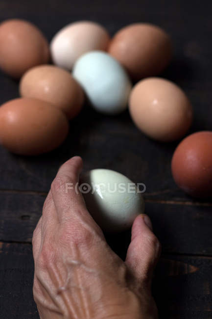 Человеческая рука держит белое яйцо над деревянным столом с кучей свежих сырых яиц — стоковое фото