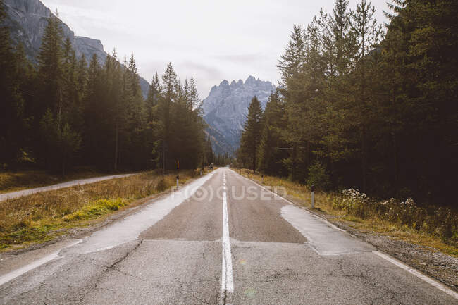 Strada asfaltata stretta che attraversa un piccolo bosco verso splendide montagne delle Dolomiti — Foto stock