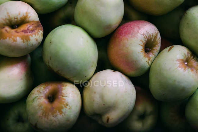 Haufen frisch gepflückter reifer Äpfel — Stockfoto