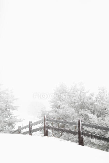 Recinzione in legno ricoperta di neve in piedi nella magnifica campagna nella bella giornata invernale — Foto stock