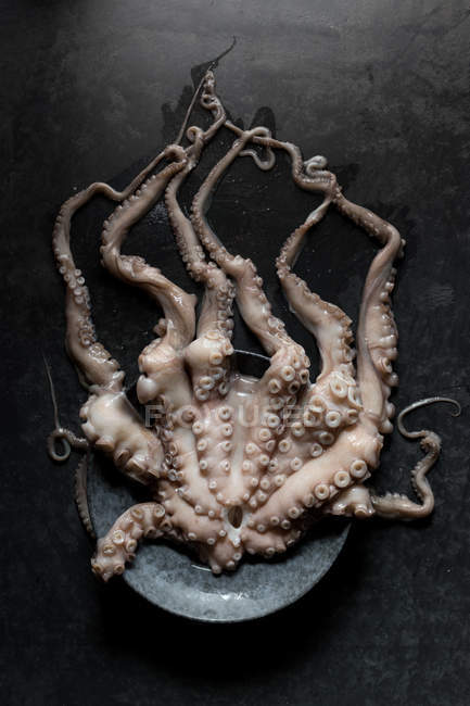 Raw octopus on plate on black marble background — Stock Photo