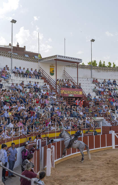 Spain, Tomelloso - 28. 08. 2018. View of bullfighter riding horse on sandy area with people on tribune — Stock Photo
