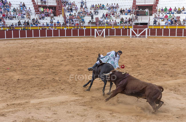 Spanien, Tomelloso - 28. 08. 2018. Ansicht einer Stierkämpferin, die auf einem Pferd reitet und mit einem Stier auf sandigem Gelände kämpft, mit Menschen auf der Tribüne — Stockfoto