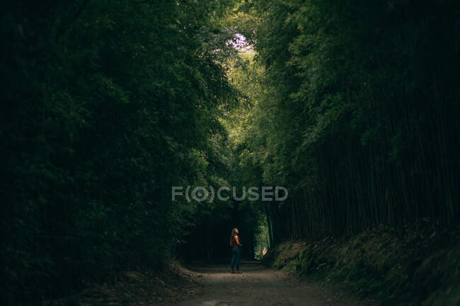 Femme marchant dans la forêt avec de hauts arbres — Photo de stock
