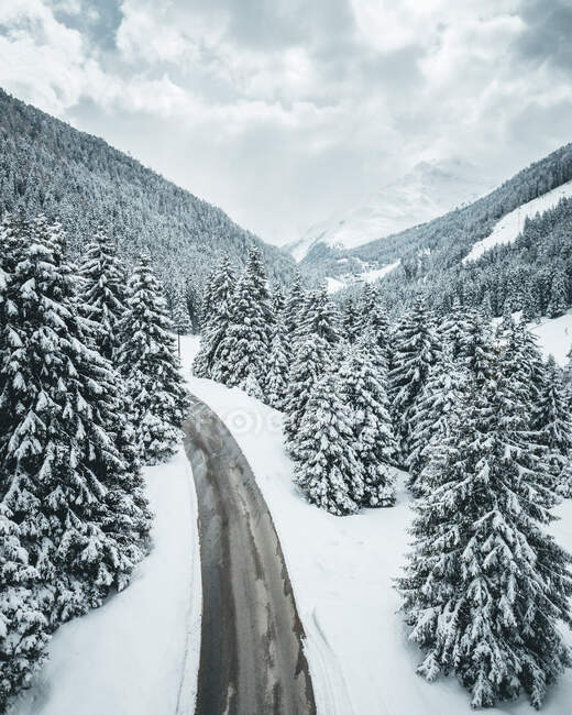 Desde arriba patinador irreconocible montar en carretera de asfalto en el bosque de invierno. - foto de stock