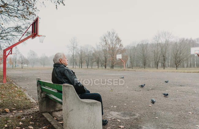 Hombre mayor en chaqueta de cuero sentado en el banco cerca del campo de deportes en el parque y mirando a las palomas - foto de stock