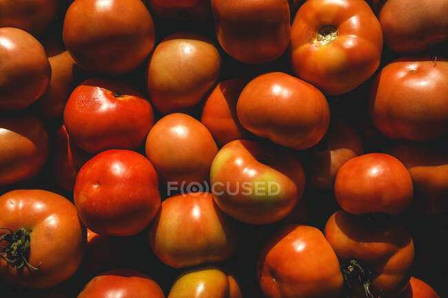 Barracas de comida na rua. Produtos hortícolas, frutas, tomates — Fotografia de Stock