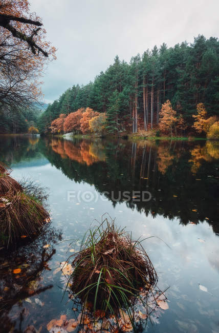 Rivière calme entre forêt d'automne et collines — Photo de stock