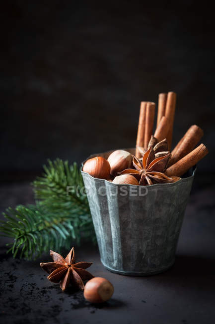 Hazelnuts, star anise and cinnamon sticks in vintage tin mould on dark background, Christmas baking concept. — Stock Photo