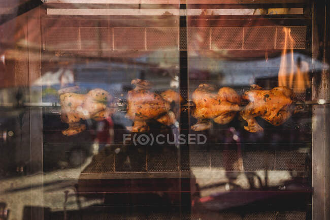 Comida en la calle. pollos de engorde - foto de stock