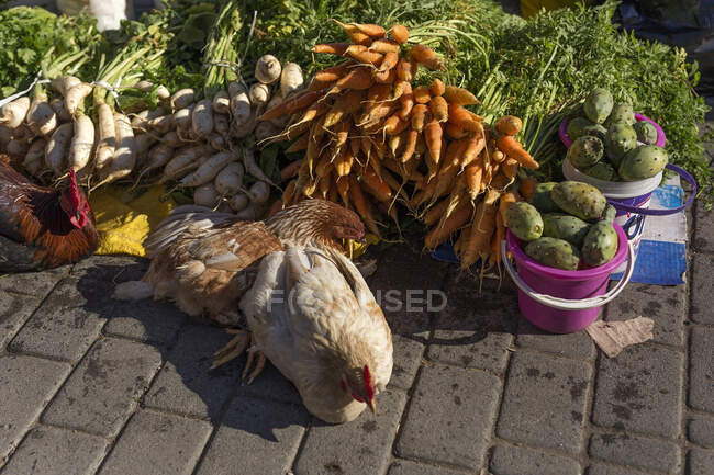 Їжа на вулиці. Овочі, фрукти, живі кури, морква — стокове фото