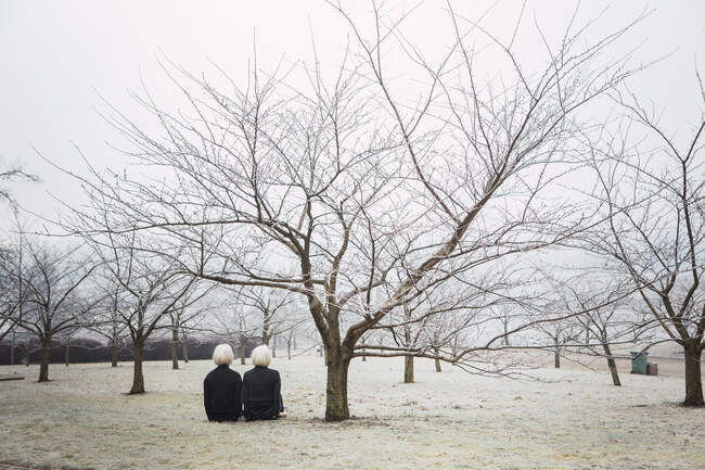 Жінки в темному одязі сидять під деревом без листя в парку в Литві. — стокове фото