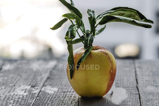 Frischer gelber Apfel mit Blättern auf Holztisch — Stockfoto