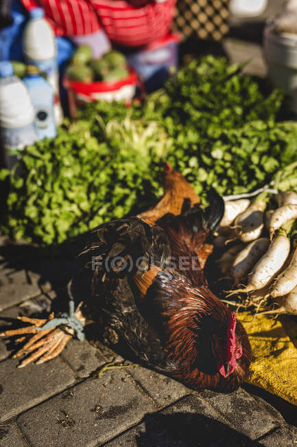 Essensstände auf der Straße. Gemüse, Obst, lebende Hühner — Stockfoto