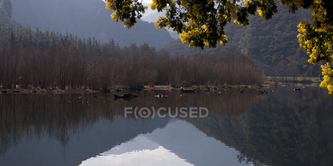 Ruhiges Wasser des Sees spiegelt Ufer mit kahlen Bäumen im Sonnenlicht — Stockfoto